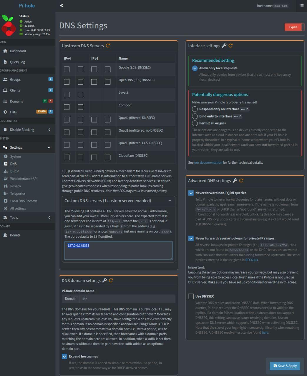 pi-hole6_DNS Settings_001.jpg